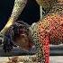 Signing A Contract In A Contorted Way Contortion Corper Viral Contortedcorper