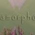 Eye Color Dreams Metamorphosis Sound Healing Meditation Ethereal