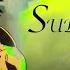 ONE PIECE AMV SURVIVOR