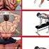 Full Body Workout Tips Gym Shorts Trending Motivation R2xfitnesstips Strongabs Abs Gymworkout