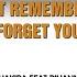 Can T Remember To Forget You Karaoke Version In The Style Of Shakira Rihanna