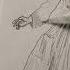 The Sound Of Music Fraulein Maria Art Drawing Sketch