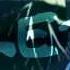 NARUTO SHIPPUDEN LET Go Mep Part 13