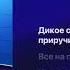 ANNA ASTI Дикое сердце КАРАОКЕ бэк вокал Текст песни минус