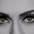 Karmin Pulses