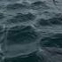 A Turkey Fisher Man Filmed Unusual Sea Phenomenon