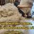 О чем собака думает когда ты вычесываешь ей колтуны
