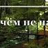 Евгений Евтушенко Нет мне ни в чем не надо половины