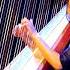 Lavinia Meijer Metamorphosis II Philip Glass Live Zwarte Cross 2023 22 07 2023 2 2