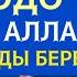 БУЛ ДУБАНЫ ОРОЗОДО УКСАҢЫЗ АЛЛАХ СИЗ СУРАГАН НЕРСЕНИ БААРЫН БЕРЕТ ИН ШАА АЛЛАХ