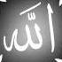 Abo Ali Aghmd Al Seef Al Saqeel
