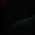 There S Something Lurking In The Fog Silent Hill 2 Remake