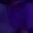 FILV X Beatmount Say What You Wanna Slowed Reverb BASS