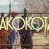Bakokota Official Music Video OUT NOW On All Platforms