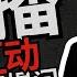 周末互动直播 习近平病情如何 解放军会否武统台湾 律师行业的现状 如何看待王志安 翟山鹰 王剑