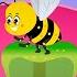What Is Pollination POLLINATION The Dr Binocs Show Peekaboo Kidz