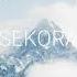 Yotto I Want You Feat BRAEV