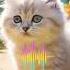 I Telephone Ringtone Ringtone Phone