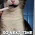 Why Does Your Cat Rub Its Face On You The Hidden Significance