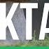 Входной ДИКТАНТ по русскому языку 6 класс Текст За грибами