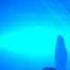 Tuvan Gaia Extended