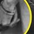 EVERY Disturbing Detail I Could Find In Meghan S Anniversary Photo