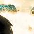 Synchronicities The Science Behind Your Meaningful Coincidences STRIPPED