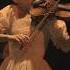 Песня до скорой встречи в жанре неоклассика скрипка Violin неоклассика звери доскоройвстречи