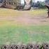 4 Snake Ayata He Haravhara Shambhu