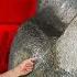 How To Remove A Broken Bolt In A Deep Hole Remove Broken Bolt In Recessed Hole