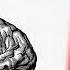Influence The Psychology Of Persuasion By Robert Cialdini Book Summary