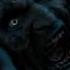 Sarkate Ka Aatank Stree 2 Shorts Trending Bhoot Ghost Sarkatekaaatank Stree2