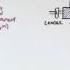 Immunology Antibody Somatic VDJ Recombination I