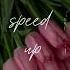 Tadow Speed Up Version