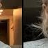 Woman Is Facing EVICTION After Leaving The Man Who Cared For Her