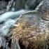 6 Wasserflut Schubert Winterreise
