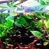 The Littoral Zone EPIC Open Beach Community Aquarium Aquascape Tutorial
