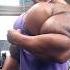 Synthol Shorts Shortsfeed