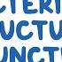 Bacterial Structure And Functions