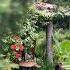 My TROPICAL Backyard PARADISE Backyard Gardenideas