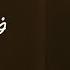 Fadel Chaker Elhob W Bass 2025 فضل شاكر الحب و بس