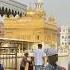 Sri Harmandir Sahib Harmandirsahib Sewa Sikhtemple Waheguru Singh Sikhtemple Trending