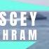 Discey Ashram Feat Jonas Groß Very Rare Vocal Edit Ibiza Music