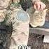 The Soldier S Morale Booster On The Battlefield Military War Army Cat Cute Shortvideo