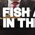The Fish Are Found In The Deep Tim Dilena