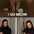 I Go Meow Singing Cat Ballad