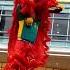 2023 Chinese New Year Lion Dance Liondance 舞獅 舞狮表演 醒獅 Tariansinga Cny2023 Lion