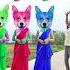 Three Cute Different Colour Bhabi Correct Head Matching With Tu Radha Meri Main Shyam Tera Songs
