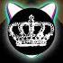 Lost Frequencies Rise Ced V Hardstyle Bootleg