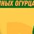 Тепличные огурцы Можно ли на них заработать Разбор бизнеса